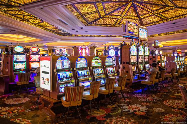 Gatos exóticos - Jugar en línea - Revisión de máquinas tragamonedas de casino