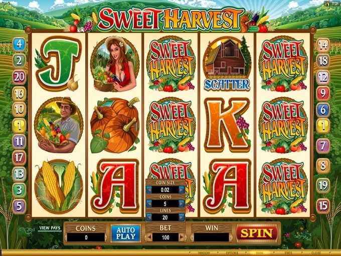 Tragamonedas Safari Heat - Jugar en línea - Revisión de máquinas tragamonedas de casino